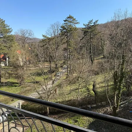 Jelena Apartment Banja Koviljaca